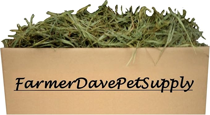 5 Lb Second Cut Timothy Hay, Bunny, Guinea Pig and Chinchilla Hay