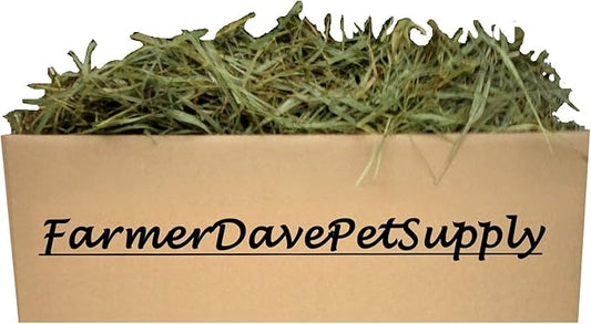 5 Lb Second Cut Timothy Hay, Bunny, Guinea Pig and Chinchilla Hay