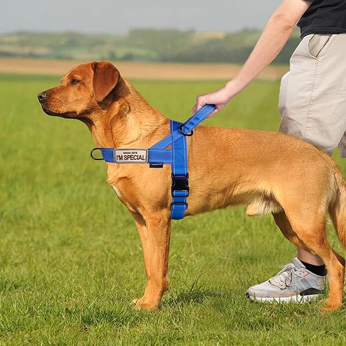 Annchwool No Pull Dog Harness with Soft Padded Handle,Reflective Strip Escape Proof and Quick Fit to Adjust Dog Harness,Easy for Training Walking for Small & Medium and Large Dogs(Blue,XL)