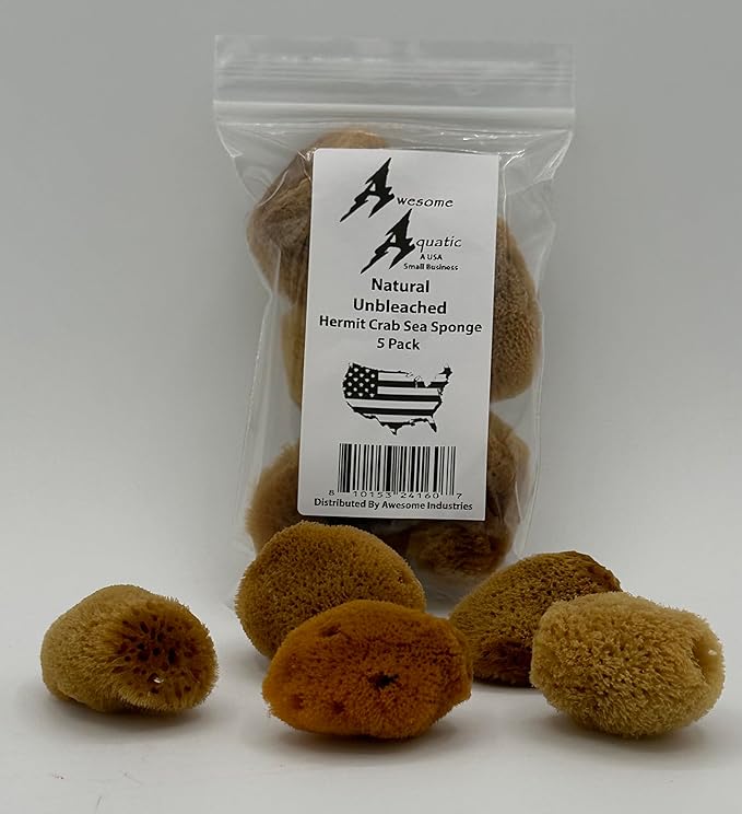 Awesome Aquatic Unbleached Natural Hermit Crab Sponges 5 Pack Natural Sea Sponge Maintains Humidity Drinking Water Safety Provides Nutrients (Unbleached 5 Pk)