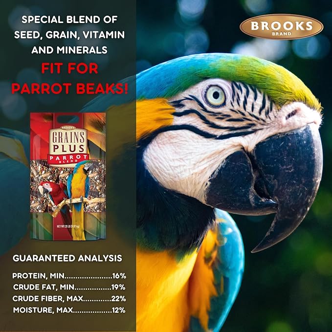Grains Plus Parrot Blend, Bird Food Parrot Seed Mix, African Grey Food, Eclectus, Indian Ringneck, Quaker