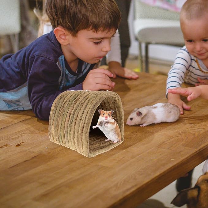Toddmomy Straw Woven Chicken Coop Nest Small Animal Bed for Hamsters Guinea Pigs Birds Semi-Enclosed Sleep Nest Indoor Outdoor