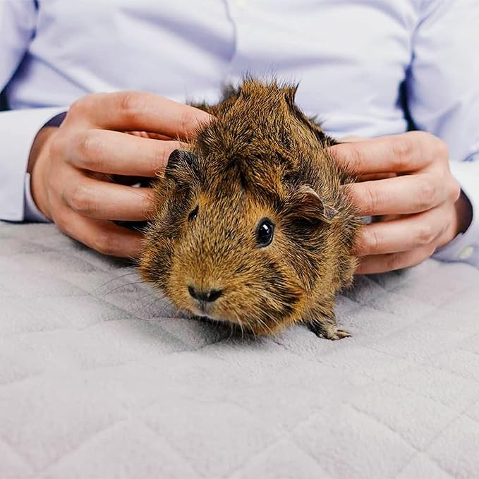 GuineaDad Original Liner - Gray Fleece Guinea Pig Bedding - Reusable Guinea Pig Cage Liner - Extra Absorbent Liner with Waterproof Bottom - Small Pet Supplies