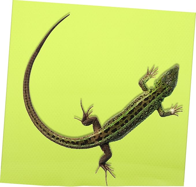 COLLBATH Eva Reptile Mat Substrate Pad for Tank Bedding for Bearded Dragon Gecko Lizard Tortoise Terrarium Supplies