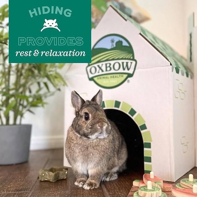 Oxbow Animal Health Timothy Club Mat, Large, Guinea Pig Hideout, Guinea Pig Toys, Bunny Toys, 100% Timothy Hay, Bunny Enrichment for Rabbit Cage, Rat Cage Accessories (Pack of 2)