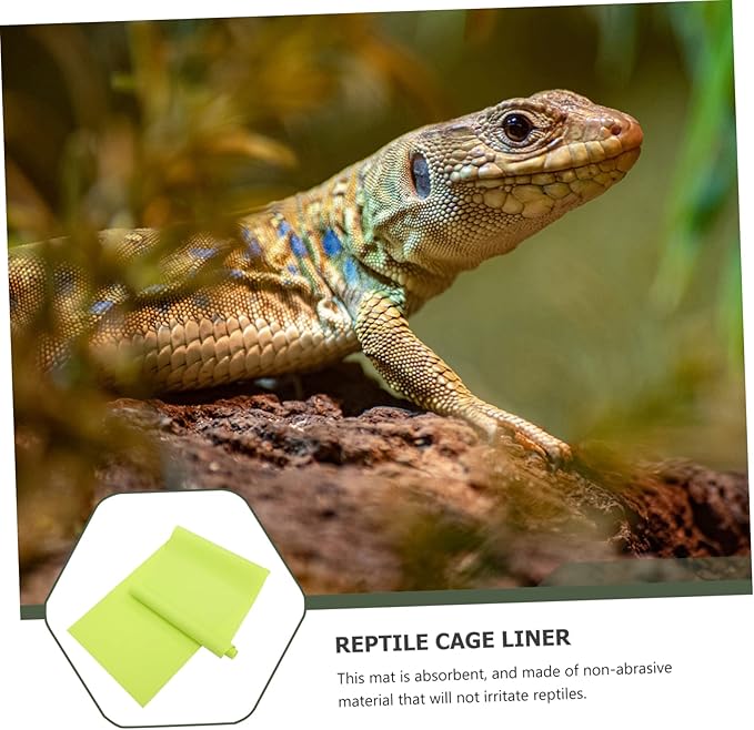 Yardwe 2pcs Reptile Carpet Mat Oil and Non-Absorbent Substrate for Snake and Lizard Habitats Easy to Clean Terrarium Bedding Green