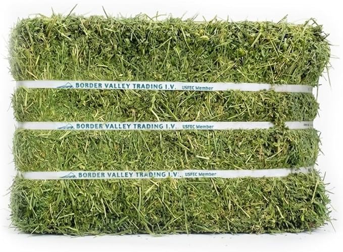 Border Valley Alfalfa Hay Bale in Bag, 50 lb - High Fiber Hay for Rabbits, Guinea Pigs, Chinchillas, Tortoises, Horses and Livestock - Protein-Rich Plant-Based Nutrition, Farm-to-Home Freshness