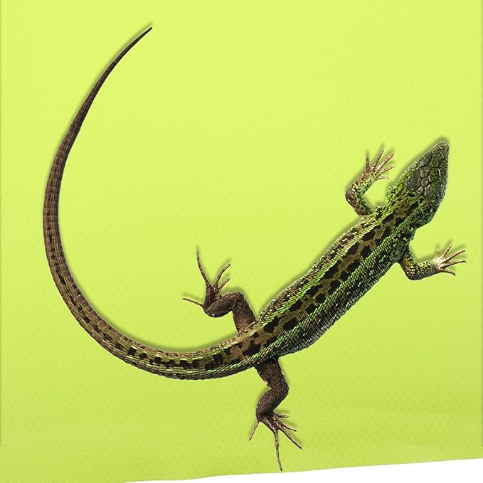 Toyvian Washable Reptile Carpet Mat Substrate Liner for Leopard Gecko Bearded Dragon Tortoise Tank Bedding Non-Adhesive Terrarium Flooring for Snake Lizard Habitat