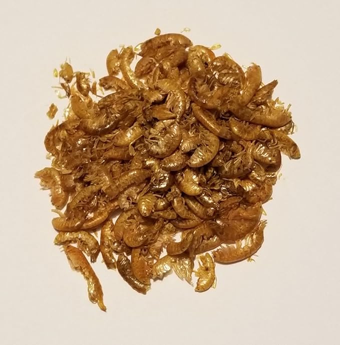 Wormy Worms Dried Freshwater Amphipods Gammarus Scuds for Reptiles, Amphibians, Fish, Turtles, Newts, Axolotl