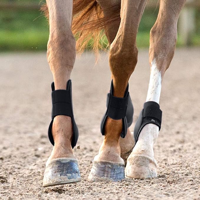 HORZE Chicago Protective Horse Tendon Boots - Lightweight Open Front Boots for Jumping, Trail Riding, and Turnout (Pair) - Black - Pony