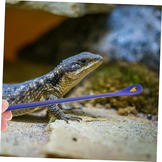 2pcs Reptile Feeding Spoon Long Handle Stainless Steel Pet Food Tools for Lizards Convenient Feeding Supplies for Small Animals Blue