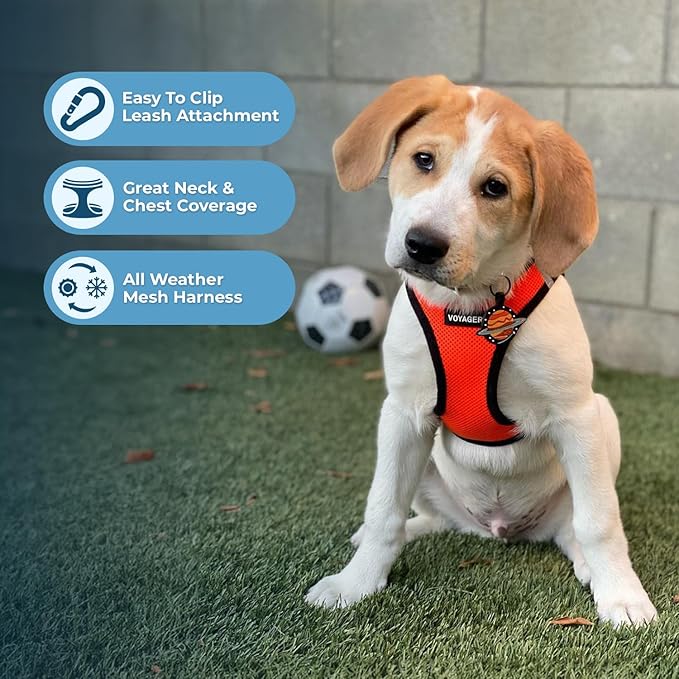 Best Pet Supplies Voyager Step-in Air All Weather Mesh Harness and Reflective Dog 5ft Leash Combo with Neoprene Handle, for Small, Medium and Large Breed Puppies - Set (Orange/Black Trim), Large