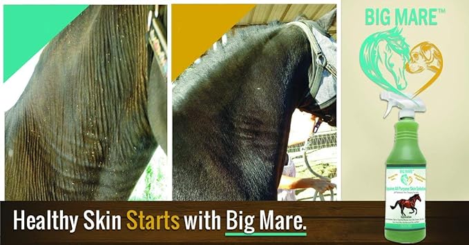 Big Mare All Purpose Horse Skin & Wound Care 32oz | First Aid: for Girth Itch, Insect & Fly Bites, Crud, Itchy Manes & Tails & Hair Loss | Vet Approved & Recommended
