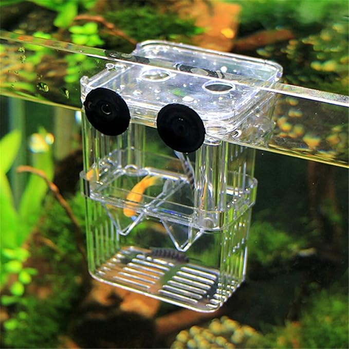 Fish Tabk Double Layer Clear Fish Farming Isolation Aquarium Planting Fish Tank Incubator Fish House Home Ecological Landscape Cool Fish Tank(Small)