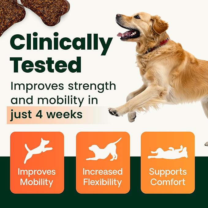 VetriScience Extra Strength Healthy Hip & Joint Chews, GlycoFlex Glucosamine and Green-Lipped Mussel Joint Support Supplement for Dogs, Chicken, 60 Count (Pack of 2)