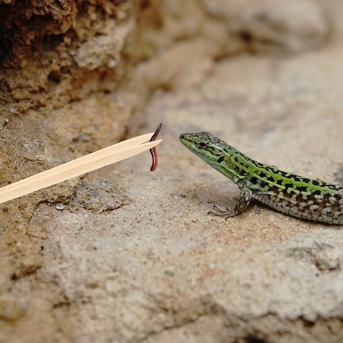 Mipcase Reptile Tweezers Non-Slip Grip Pet Feeding Tongs for Crawling Pets Safe for Terrarium