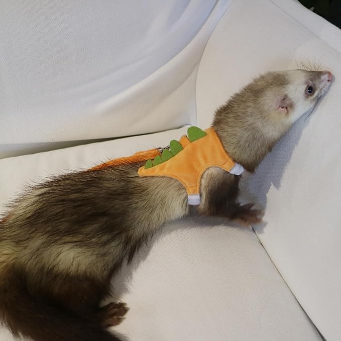 Bearded Dragon Harness and Leash Set - Soft Fleece Dinosaur Vest with Safe Bell Adjustable Lizard Traction Rope Escape Proof Outdoor Walking Training Leash for Ferret Rat Kitten Puppy (Orange)