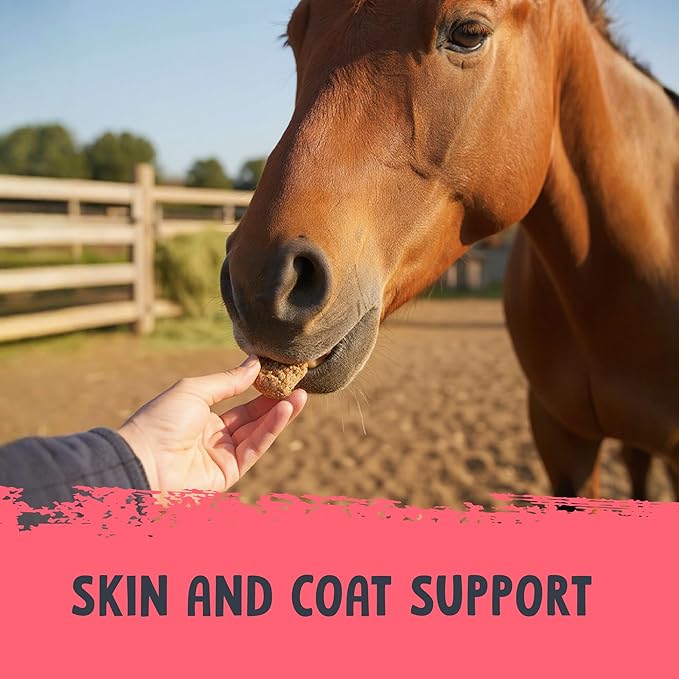 Health Extension Equine Apple Bites Treats with Colostrum – Refreshing Mint Flavor for Horses – Supports Daily Training Rewards & Positive Reinforcement – 2 lb Bag