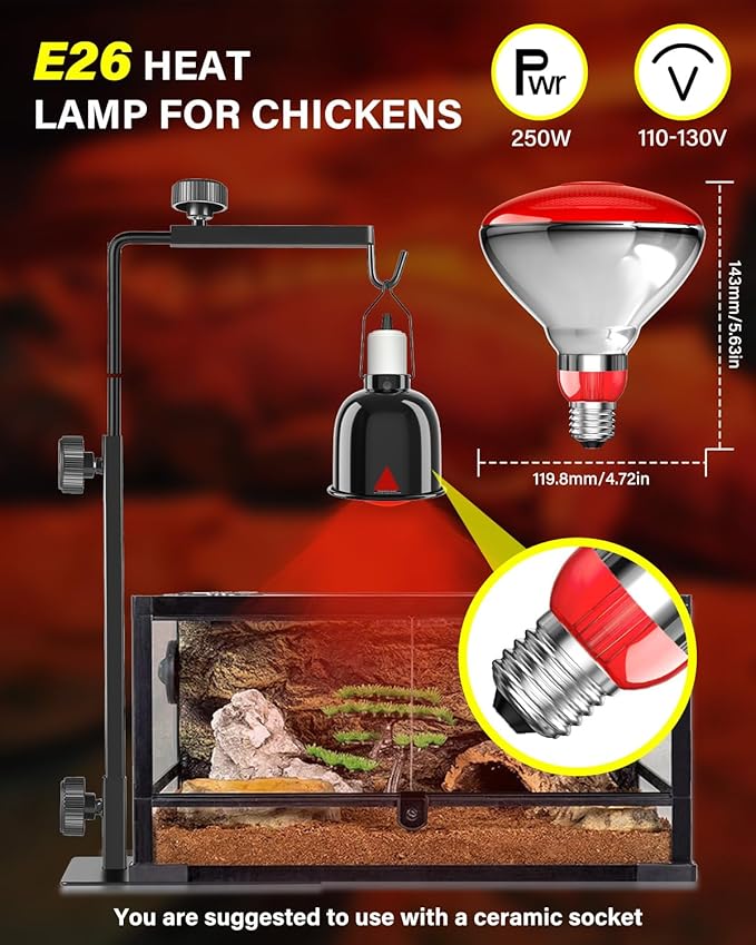 Heat Lamp Bulbs for Chickens Coop Brooder,250 Watt Reptile Heat Lamp Bulb Infrared Red Light for Chicks,Birds,Ducks,Dogs,Cats (Heating Lamp Not Included)