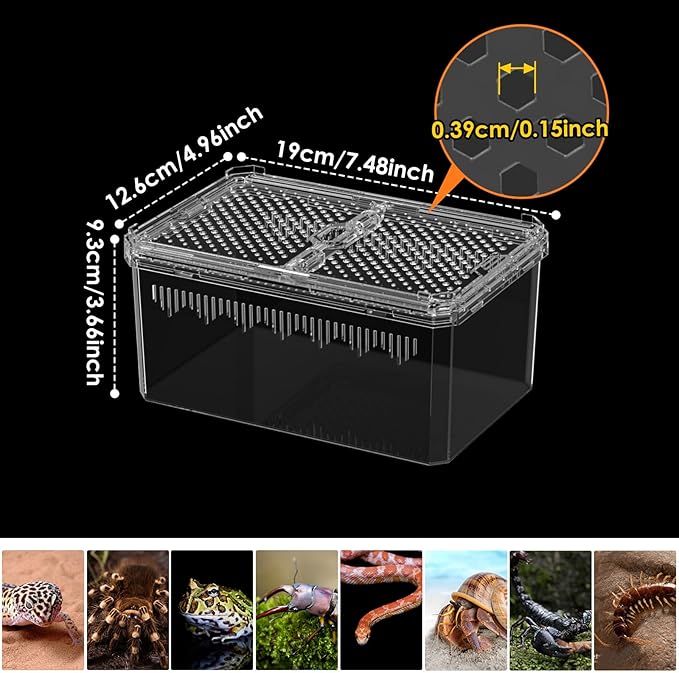 【No Assembly】 Breathable and Secure Reptile Tank with high Transparency - Ideal Container House for Hermit Crab, Tarantula Enclosure, Cricket Habitat or Jumping Spider Habitat (S)