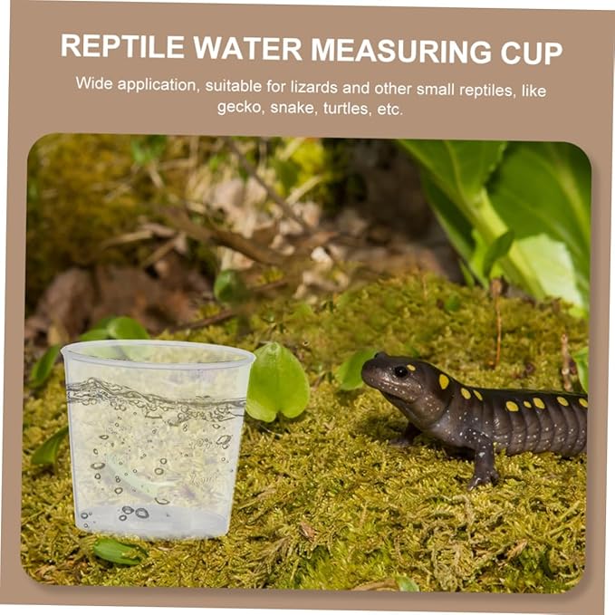 30pcs Reptile Feeding Measuring Cups Set for Gecko and Snake Easy to Measure Food Water