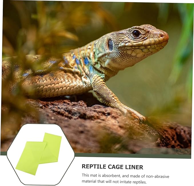 2pcs Reptile Carpet Terrarium Mat for Snakes Lizards Tortoises Bedding for Tanks Habitat Flooring