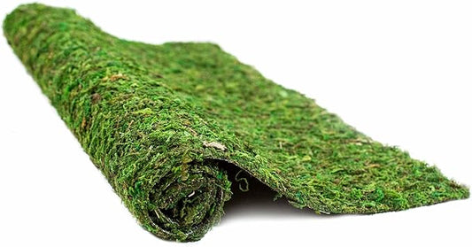 Galápagos (05094) CrashPad, Mossy Terrarium Liner, Natural, 18 x 36 in