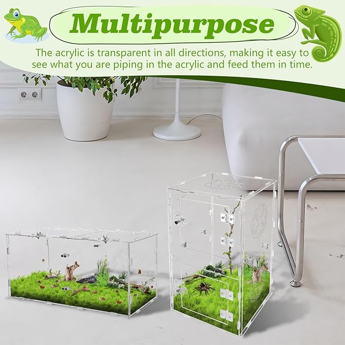 Acrylic Jumping Spider Enclosure with Double Compartments, Large Size,15.7 * 7.8 * 7.8 inches, Reptile Terrarium Aquarium Breeding Tank for Reptiles Spiders Snake Lizard