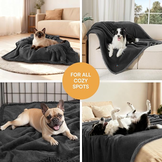 Waterproof Pet Blanket, Liquid Pee Proof Dog Blanket for Sofa Bed Couch, Reversible Sherpa Fleece Furniture Protector Cover for Small Medium Large Dogs Cats, Black Small???40" x 28"???