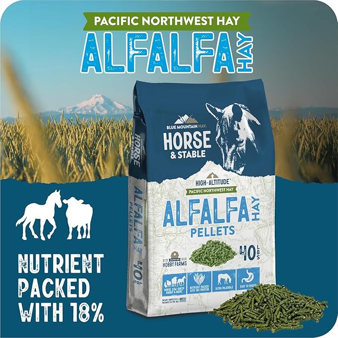 Blue Mountain Hay High Altitude Alfalfa Hay Pellets (40 lb), Ultra Premium Nutrient Dense Forage, Small Quick Soaking Low Dust Pellets, Easy to Measure, Automatic Feeder Friendly