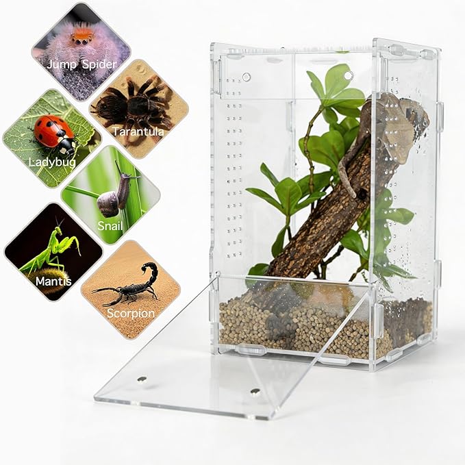 5x5x8 Reptile Tank – Acrylic Reptile Enclosure Terrarium for Crested Gecko, Lizards, Spiders & Snakes – Clear Lizard Habitat Terrarium