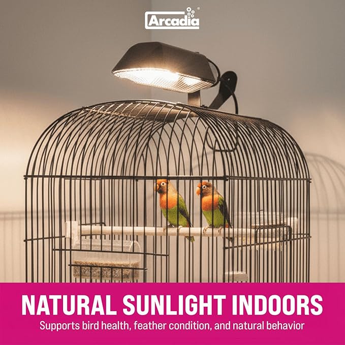 Arcadia Puresun Compact Bird Lighting Kit