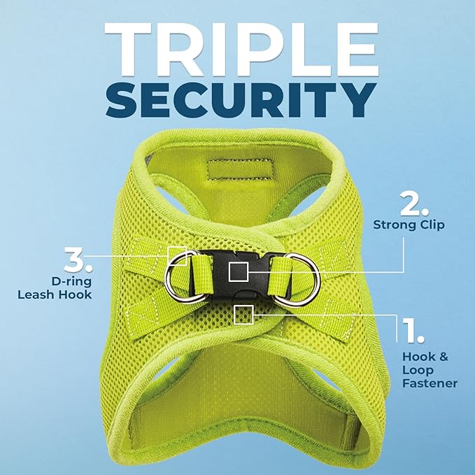 Best Pet Supplies Voyager Step-in Air All Weather Mesh Harness and Reflective Dog 5ft Leash Combo with Neoprene Handle, for Small, Medium and Large Breed Puppies - Set (Lime Green), Small
