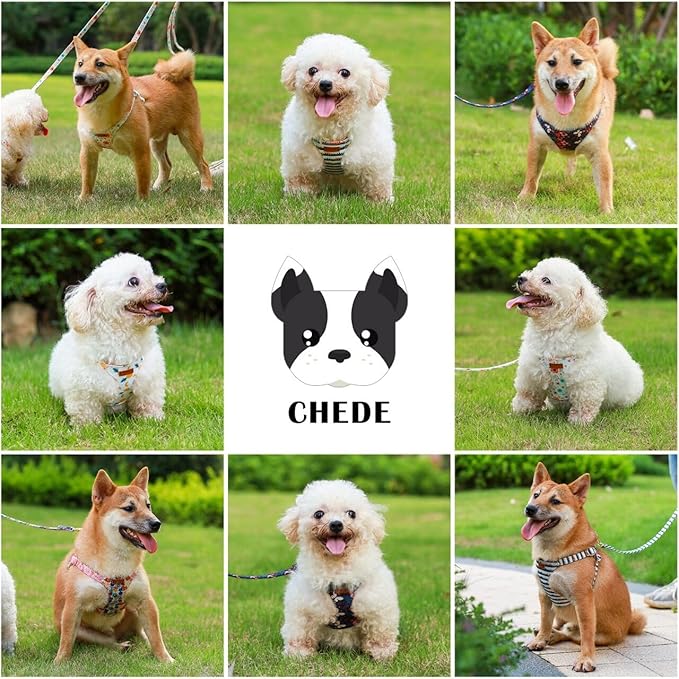 CHEDE No Pull Floral Pattern Dog Harness- Lightweight and Soft Harness, Adjustable Small Dog Harness and Leash Set, with Dog Leash, Suitable for Puppy Small and Medium-Sized Dog