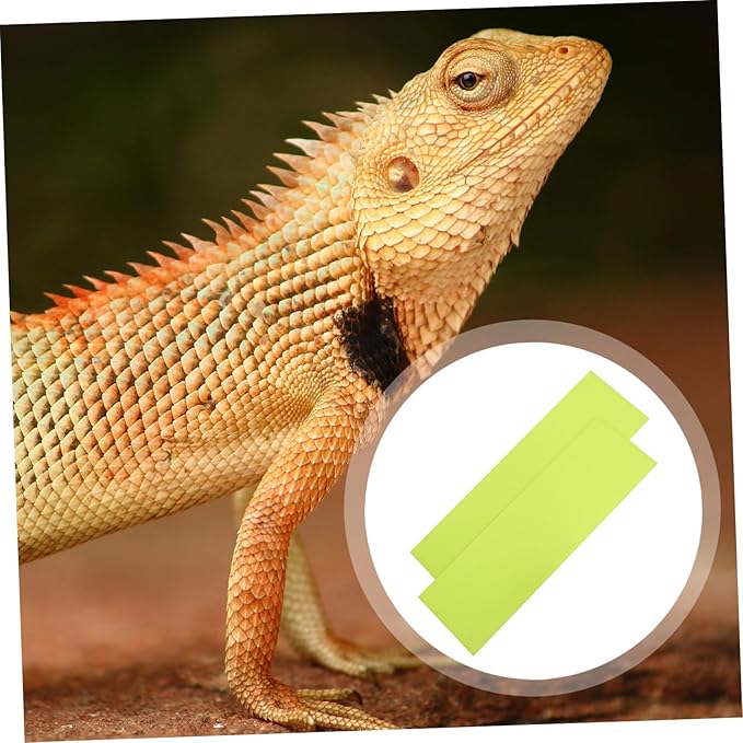 Happyyami 2pcs Reptile Carpet Bedding Liner for Terrarium Mat for Snakes Lizards and Tortoises Easy to Clean Substrate for Tanks