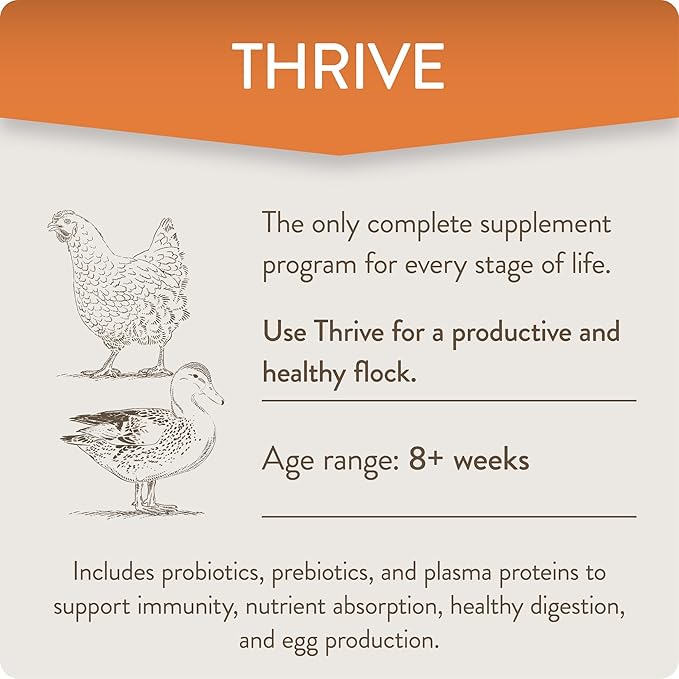 FlockLeader Thrive, Daily Probiotic & Prebiotic Water Supplement for Chickens 8+ Weeks Old, 8 oz (Pack of 2)
