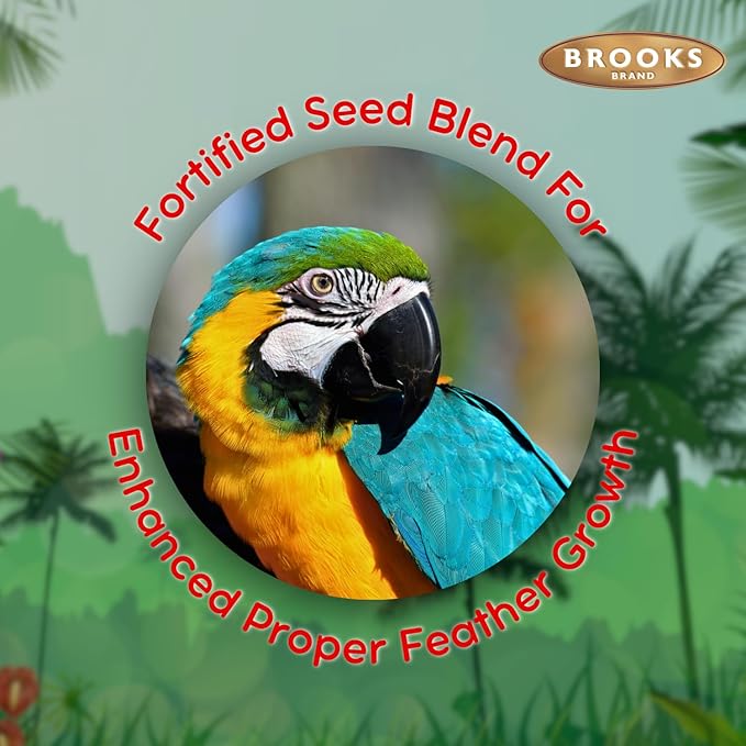 Grains Plus Parrot Blend, Bird Food Parrot Seed Mix, African Grey Food, Eclectus, Indian Ringneck, Quaker