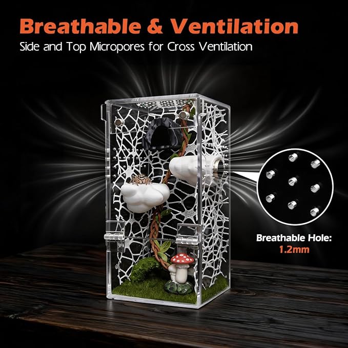 AZV Small Jumping Spider Enclosure Clouds Kit,Escape Proof Praying Mantis Habitat,Magnetic Door Arboreal Tarantula Terrarium Ventilation Spider Cribs,Transparent Acrylic Reptile Tank,Bug,Snail House