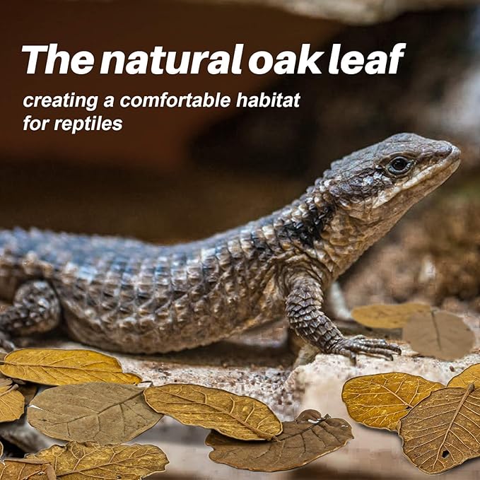 MAQIHAN 7 OZ Dry Oak Leaf Litter - Leaf Litter for Reptiles Oak Leaves for Isopods Live Substrate for Snakes, Frogs, Isopods, Terrarium Bedding