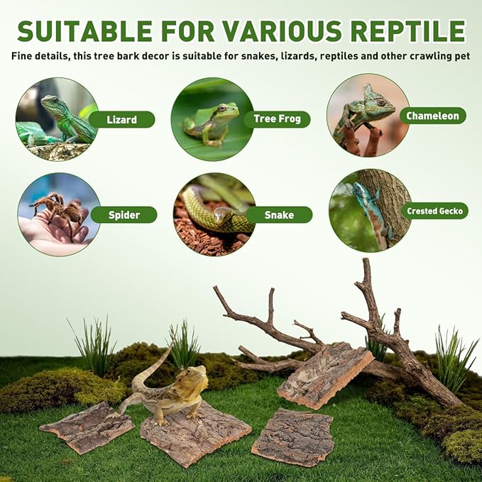 PRETYZOOM 4pcs Cork Bark Reptile Hide – Natural Flat Wood Bark for Geckos, Lizards, Hermit Crabs, Small Snakes – Climbing Accessory for Terrariums, Turtle Tanks and Bird Cages (Assorted Size)