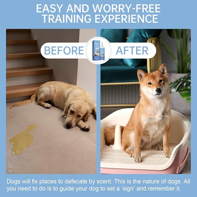 Potty Training Spray for Dogs Dog Potty Training Spray Go Here Dog Potty Training Spray Address Canine Inappropriate Elimination Habits for Indoor & Outdoor Environments (Smoke Blue)