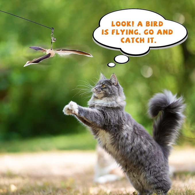 JXFUKAL Cat Wand Toys, Interactive Cat Toys with 3 Feather Refills, 29'' Flexible Steel Wire, Sturdy Wood Handle & Bell for Kitty Kitten, Cat Toys for Indoor Cats Teaser Cat String Toy - Image 3