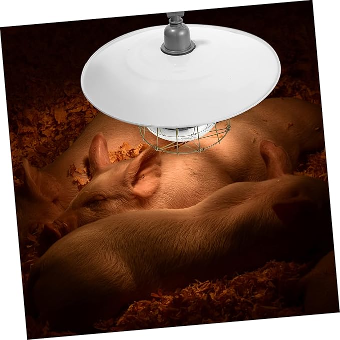BESPORTBLE Poultry Heat Lamp Livestock Heater Pet Warmth Light Heat Preservation Lamp Clamp for Creatures