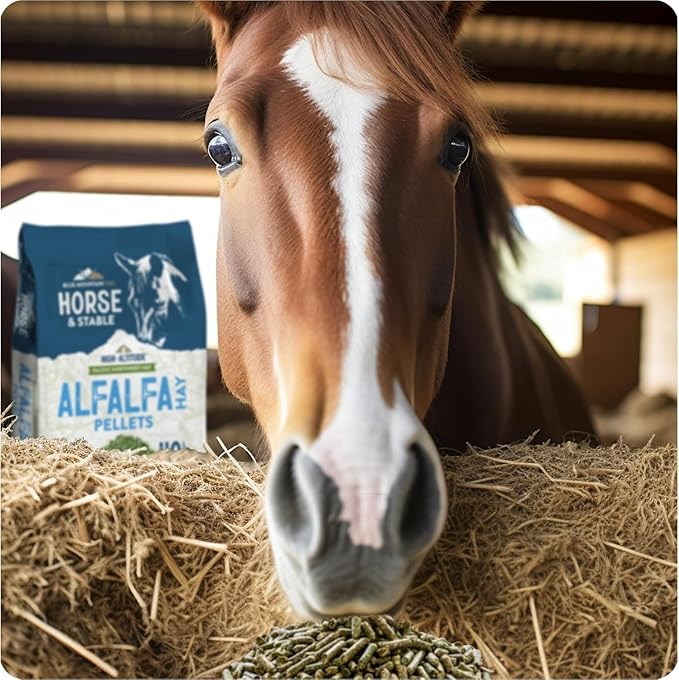 Blue Mountain Hay High Altitude Organic Alfalfa Hay Pellets (40 lb), Ultra Premium Nutrient Dense Forage, Small Quick Soaking Low Dust Pellets, Easy to Measure, Automatic Feeder Friendly
