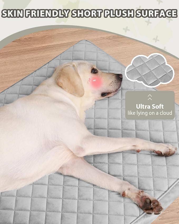 NUPIDA Orthopedic Dog Beds for Extra Large Dogs Waterproof with Removable Washable Cover and Non-Slip Bottom, 47x29 Inch, Light Gray