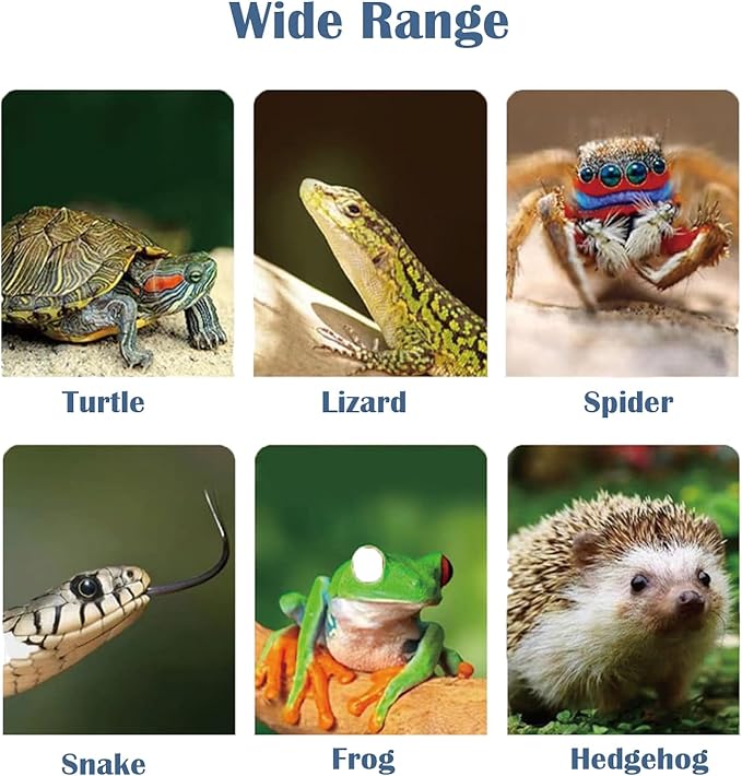 Heat lamp for reptiles，UVA UVB Turtle Heating Lamp with Two Heat Bulbs, Turtle Basking Light with 360° Rotatable Hose & Clamp & Adjustable Switch for Bearded Dragon Reptiles Turtle Lizard Snake