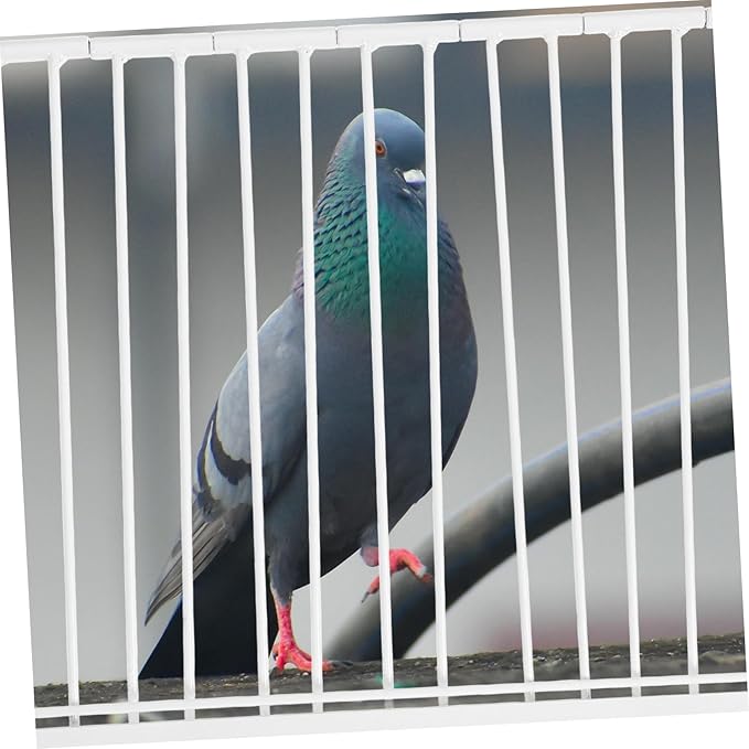 POPETPOP Iron Pigeon Entrance Door for Bird Cage Loft Racing Pigeon Safe Access Breeding Carrier Cage Replacement