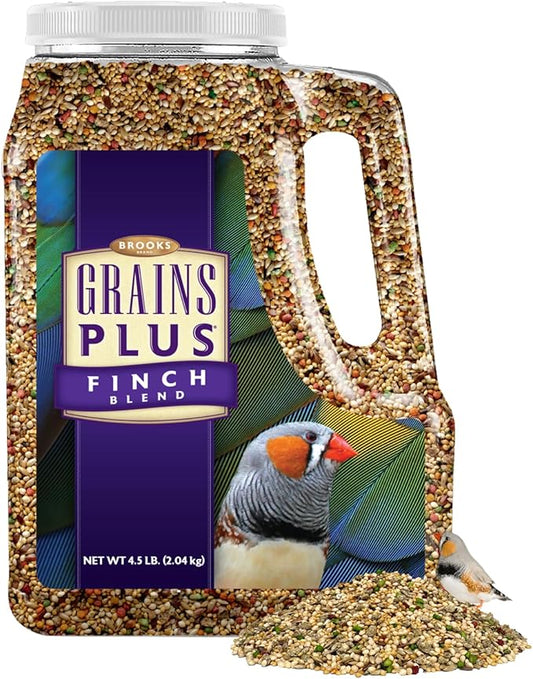 Grains Plus Finch Blend Bird Food, Nyjer Seeds, Finches Bird Seed Mix, Gold Finch Niger Seeds for Birds, Finches Food for Indoor Birds (4.5 lbs)