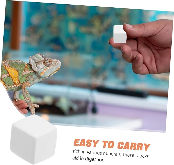 Abaodam 6pcs for Reptiles and Crabs Natural Molar Cubes for Enhanced Digestion and Mineral Supply Lightweight Chew Toys for Terrariums and Aquariums