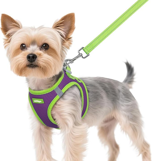rabbitgoo Dog Harness Small Sized and Leash Set, Step-in Breathable Pet Harness, Soft Walking Reflective Puppy Vest for Small Dogs, Purple & Green, XS